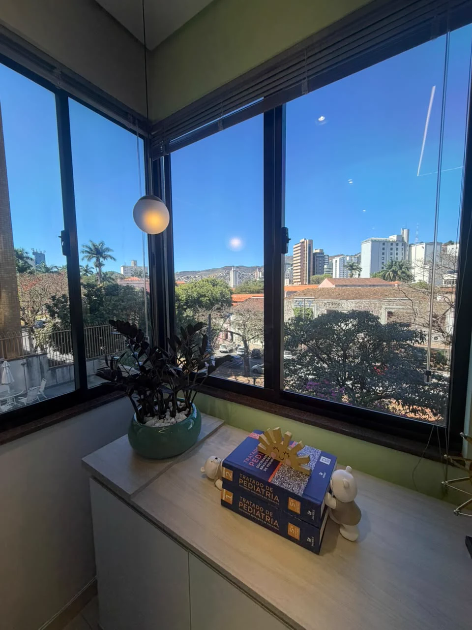 Janela do consultório com livros de pediatria e plantinha na jardinera
